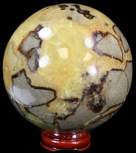 Polished Septarian Sphere - With Stand #43857